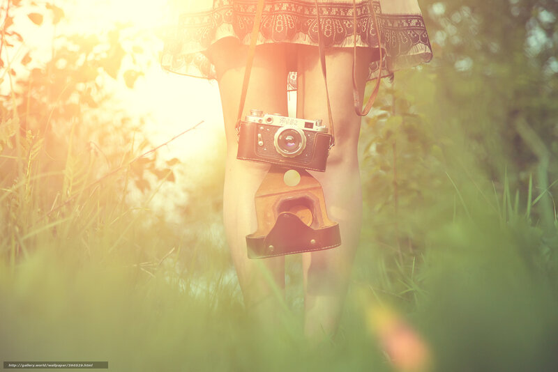 Camera in sunlit grass