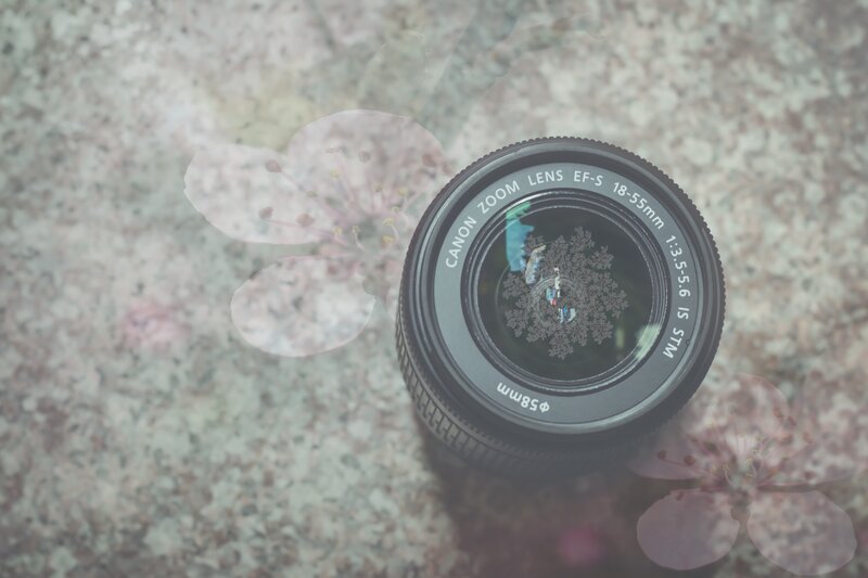 Camera Lens on Stone