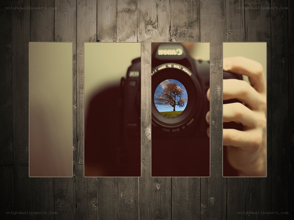 Camera lens with tree view