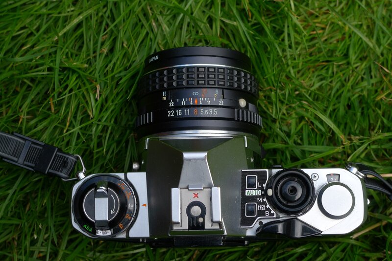 camera on grass
