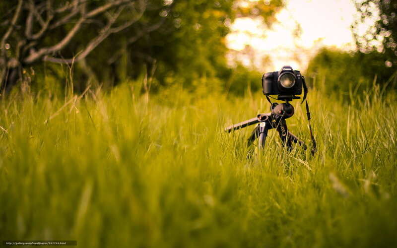 Camera on Tripod in Grass