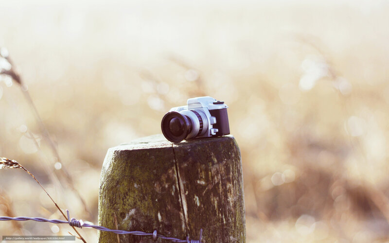 Camera on Wooden Post — Brown