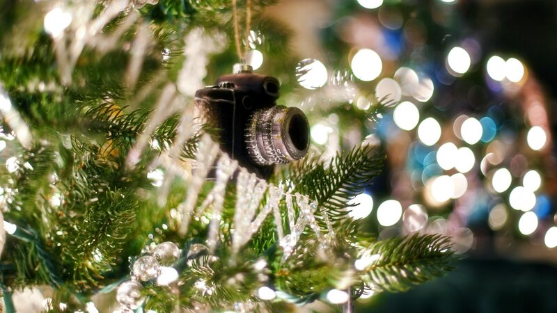 Camera Ornament on Tree — Green
