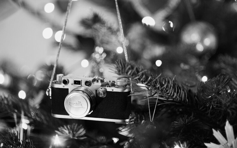 Camera Ornament on Tree