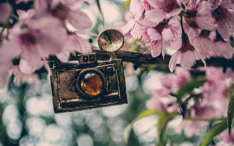 Camera Pendant on Branch — Pink