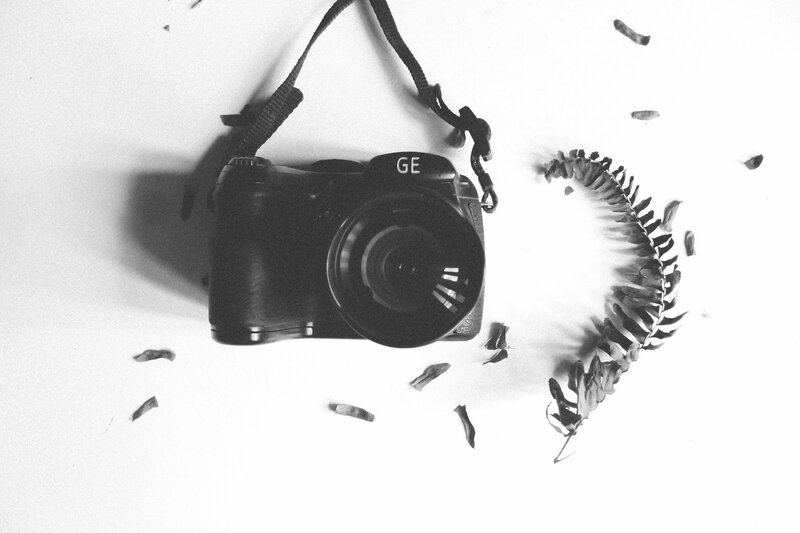 camera with leaf arrangement