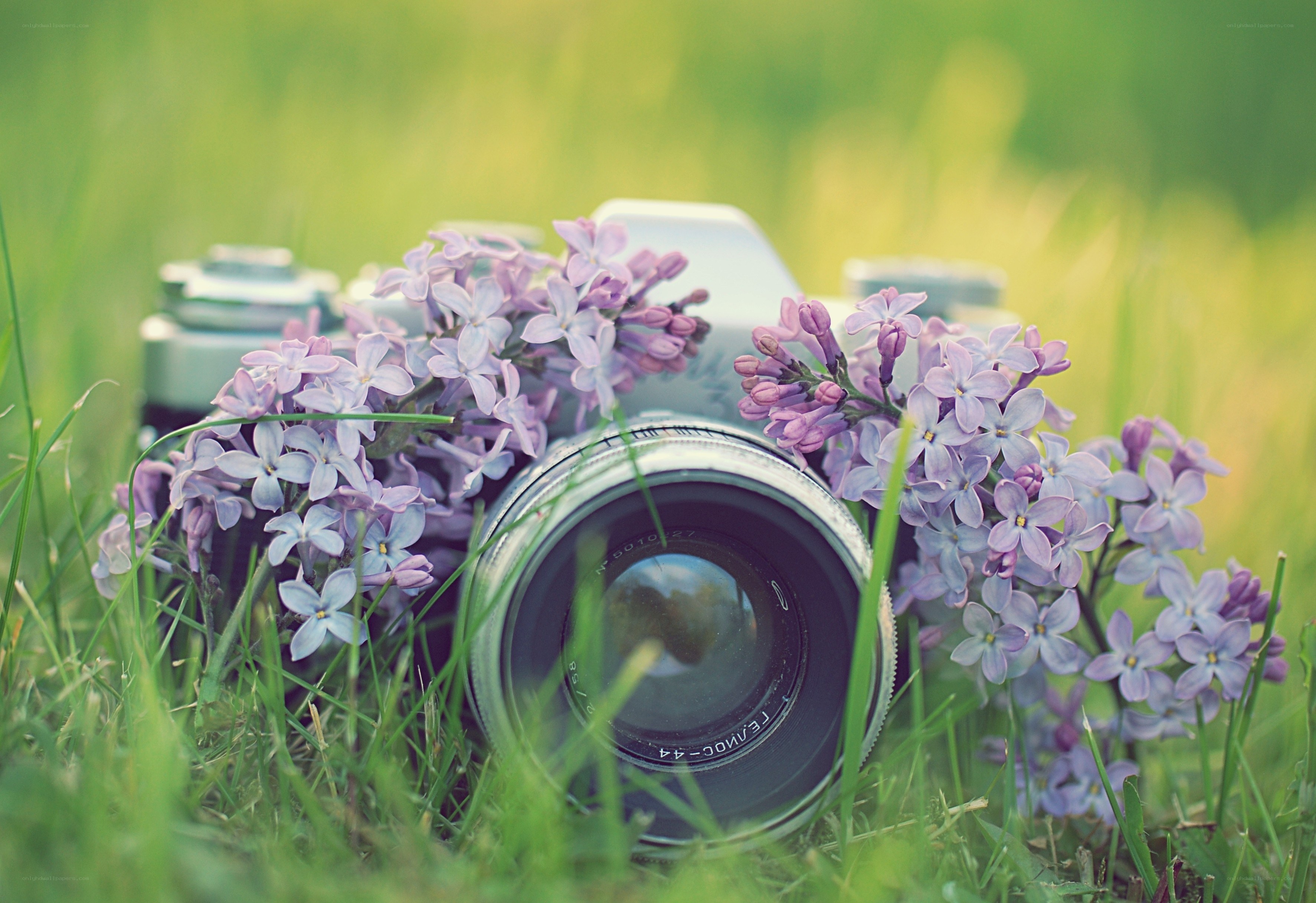 camera with lilac flowers