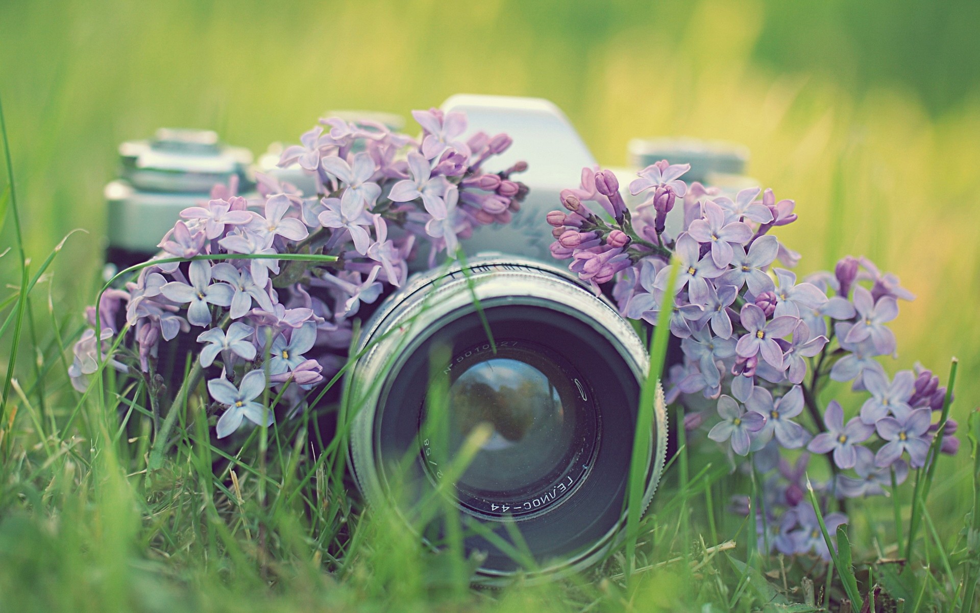 camera with lilac flowers