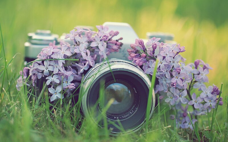 Camera with Lilac Flowers — Purple