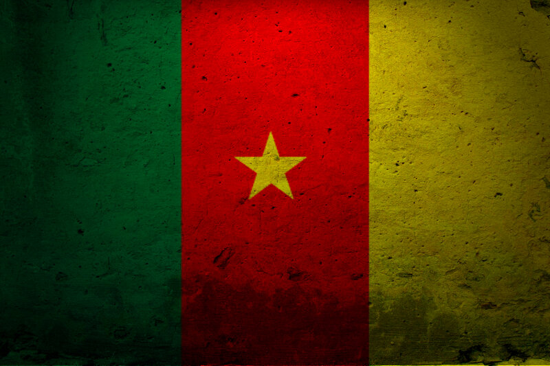 Cameroon flag on textured wall