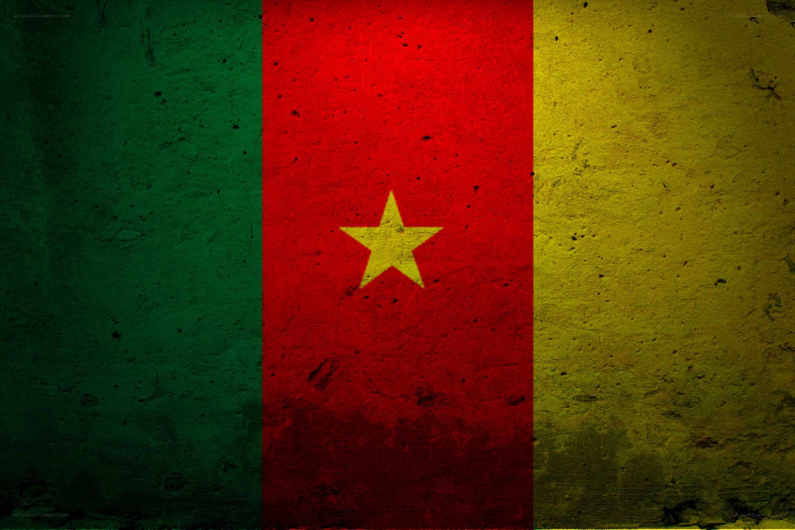 Cameroon flag on textured wall