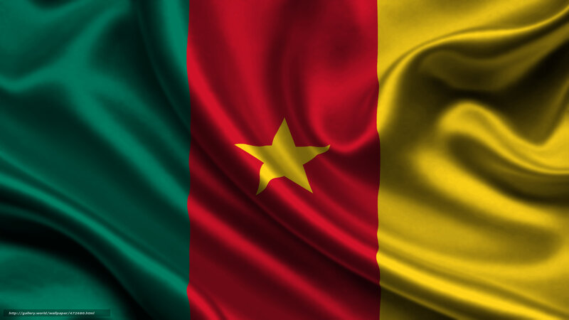 Cameroon flag waving