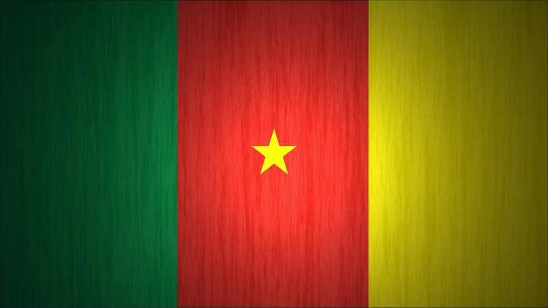 Cameroon flag with star