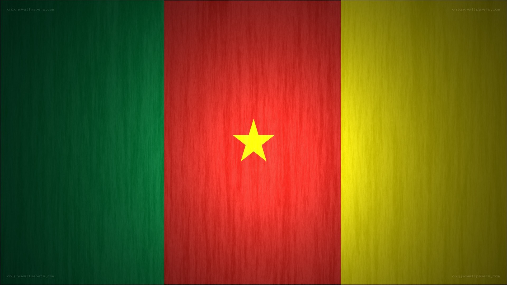 Cameroon flag with star