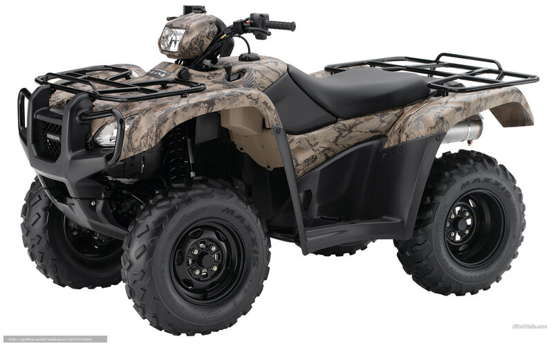 Camouflage ATV — Brown, Neutral, Photograph, Black Seat, Racks