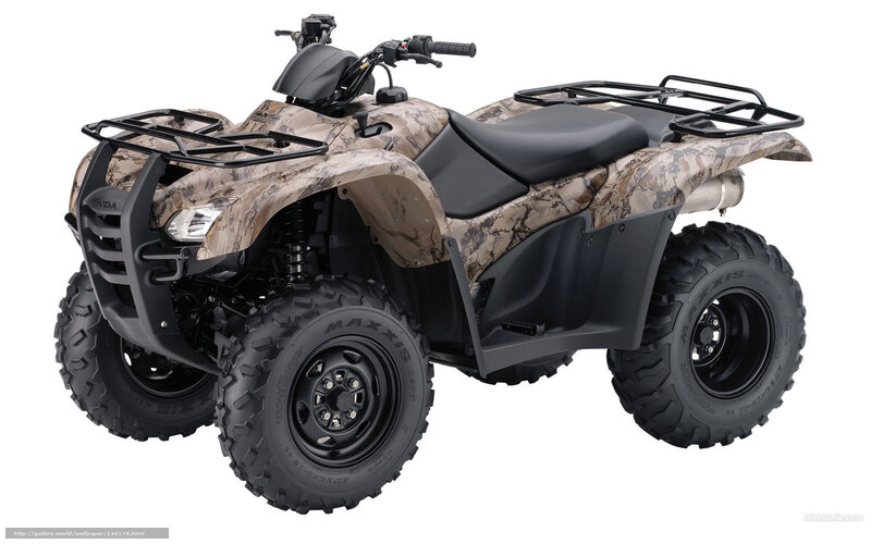 Camouflage ATV — Brown, Neutral, Photograph, Seat, Front Rack