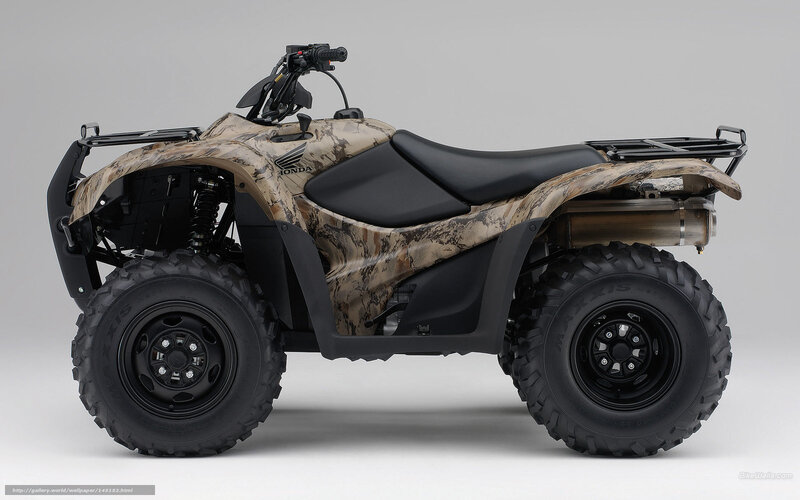 Camouflage ATV — Brown, Neutral, Photograph, Seat