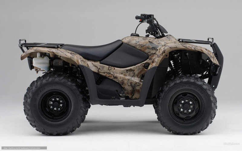 Camouflage Atv — Brown, Neutral, Photograph