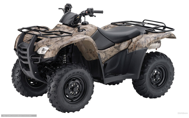 Camouflage ATV — Brown, Neutral