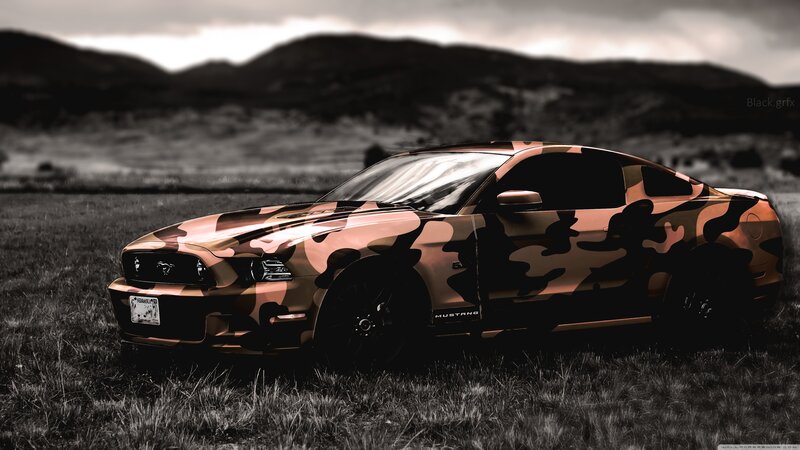 Camouflage Ford Mustang