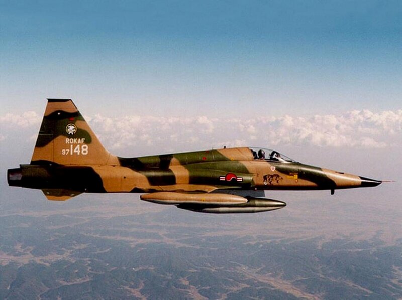 Camouflage Jet Fighter — Green, Calm