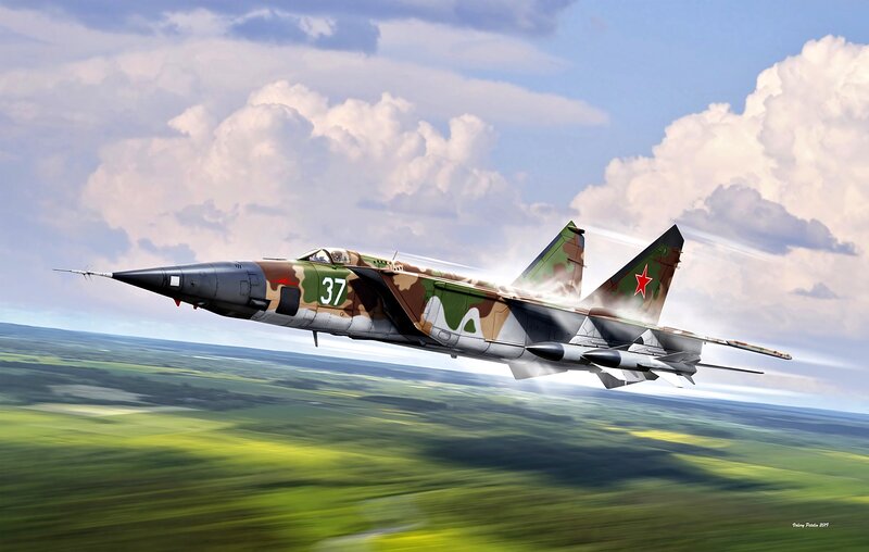 Camouflage Jet Fighter — Green, Dynamic