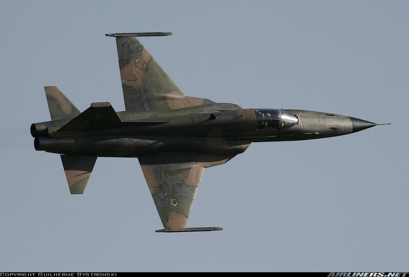 Camouflage Jet Fighter — Green, Neutral