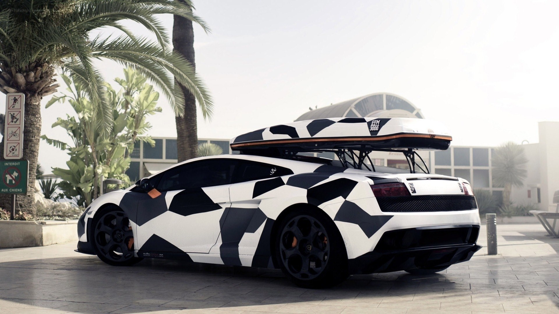 camouflage Lamborghini with surfboard