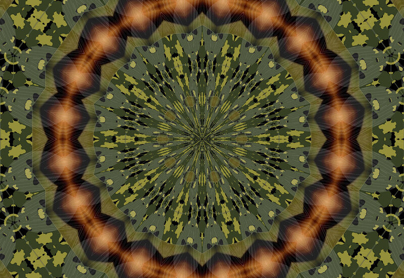 Camouflage Mandala Pattern