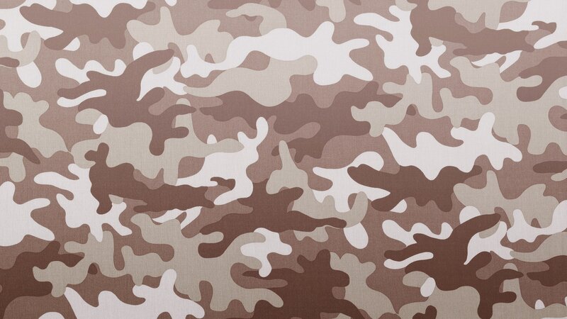 Camouflage Pattern — Brown, Neutral, Abstract