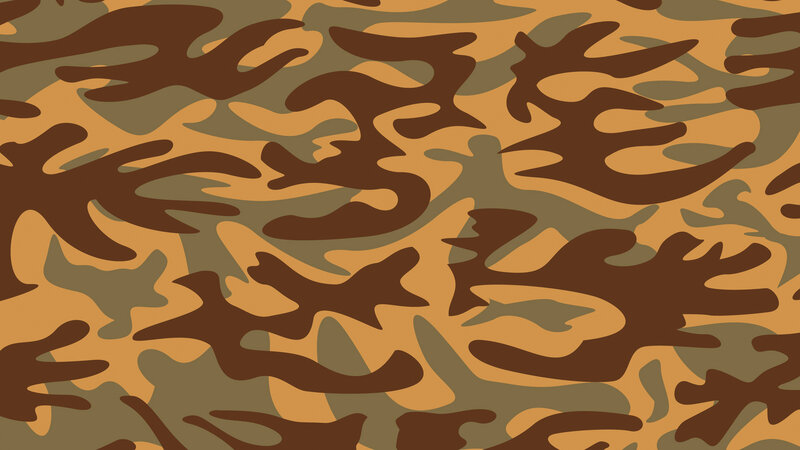 Camouflage Pattern — Brown, Neutral, Vector Art