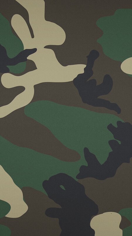 Camouflage Pattern — Green, Neutral, Abstract, Brown