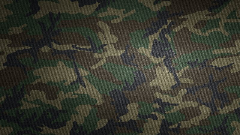 Camouflage Pattern — Green, Neutral, Abstract