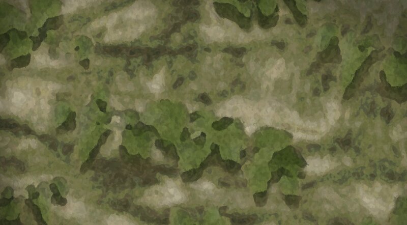 Camouflage Pattern — Green, Neutral, Digital Art