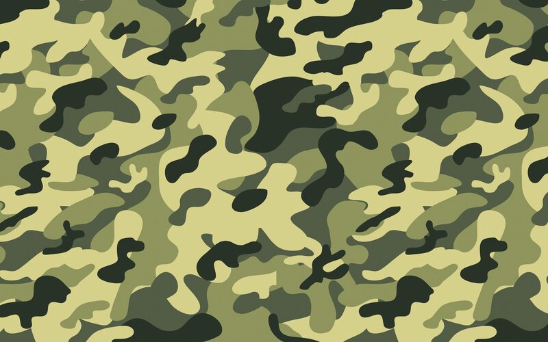 Camouflage Pattern — Green, Neutral, Vector Art, Black, Beige