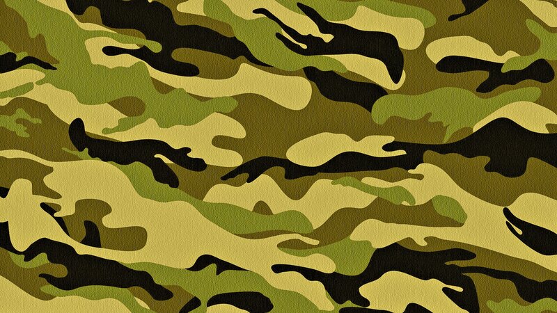 Camouflage Pattern — Green, Vector Art