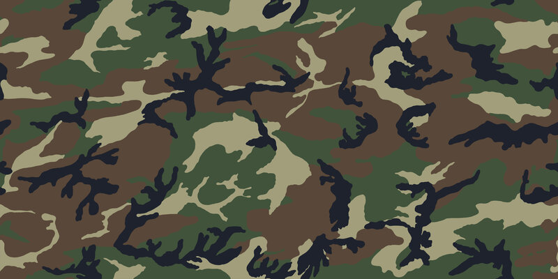 Camouflage Pattern — Vector Art