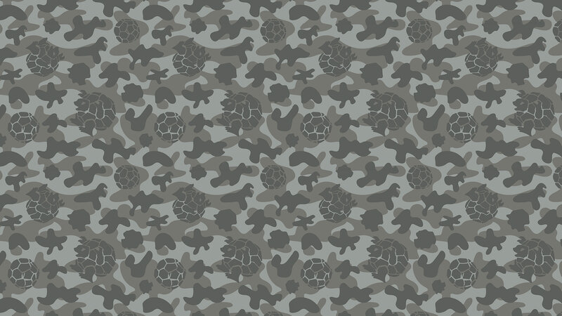 Camouflage Pattern with Soccer Balls
