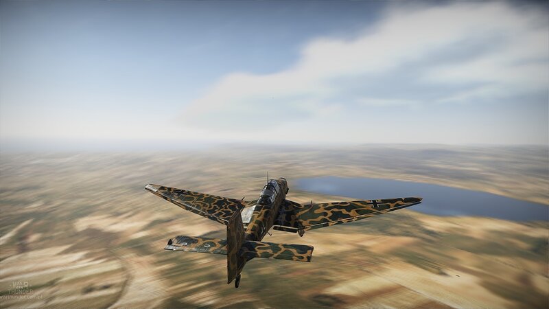 Camouflage Plane in Flight