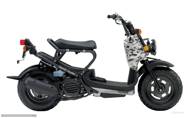 Camouflage Scooter