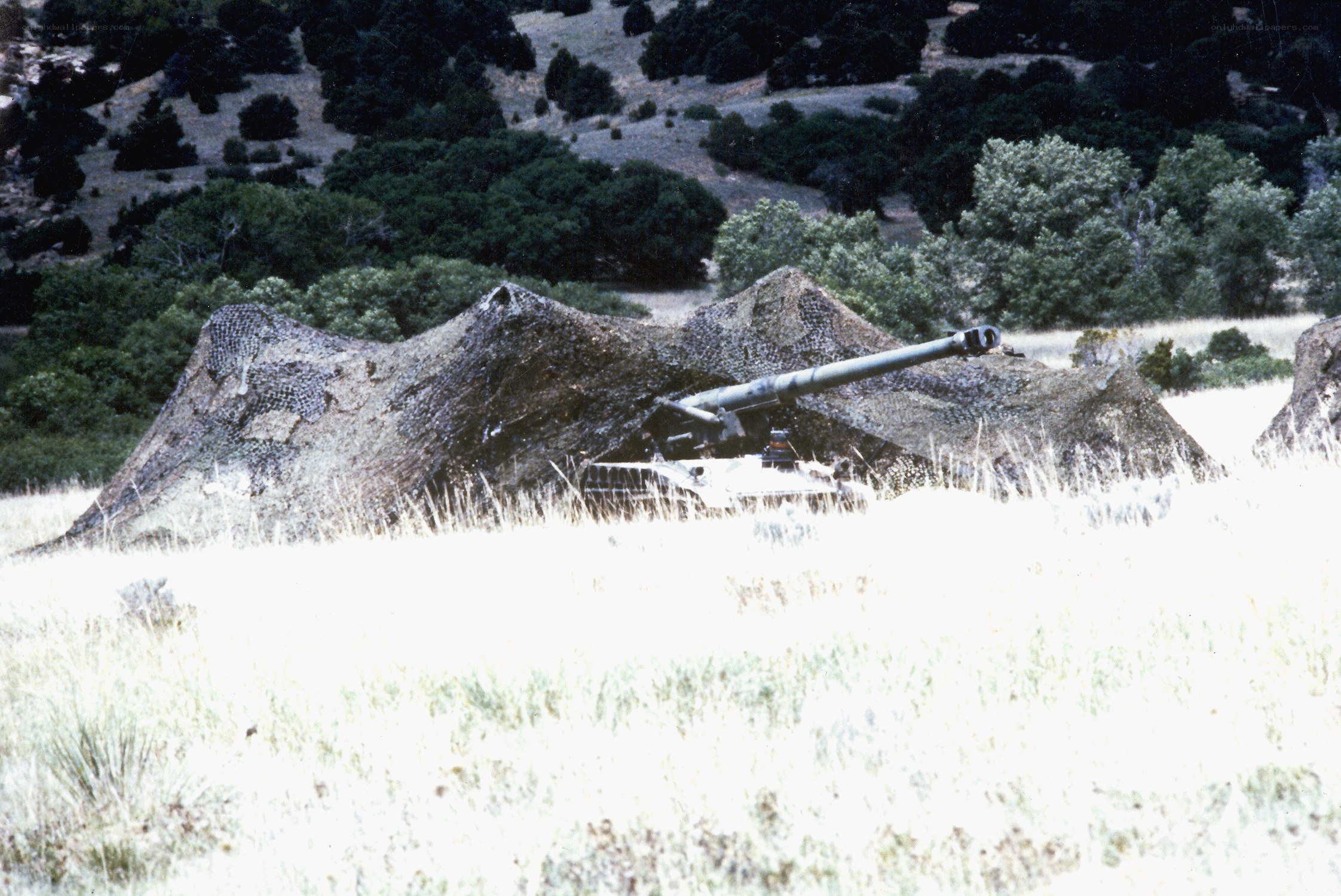 Camouflaged artillery in field