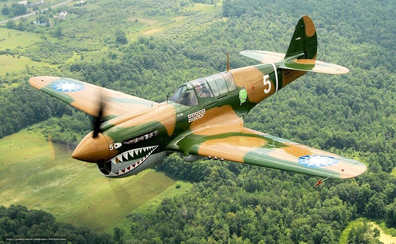 Camouflaged Fighter Plane — Green, Dynamic, Afternoon, Photograph, Forest, Propeller, Pilot