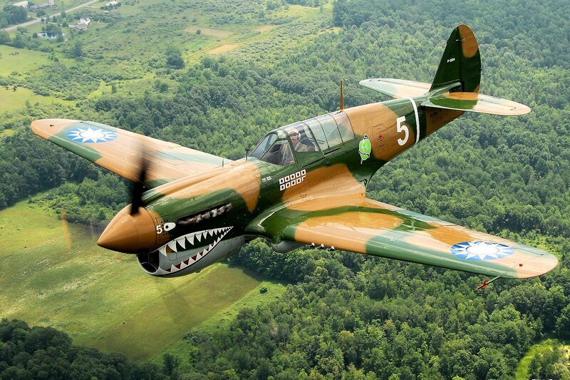 Camouflaged Fighter Plane — Green, Dynamic, Afternoon, Photograph