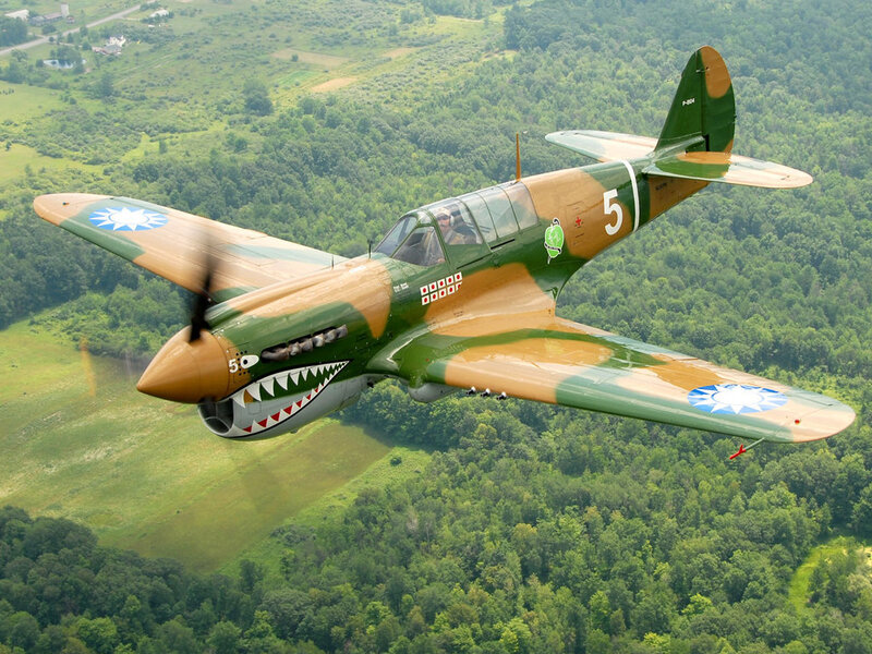 Camouflaged Fighter Plane — Green, Dynamic, Afternoon