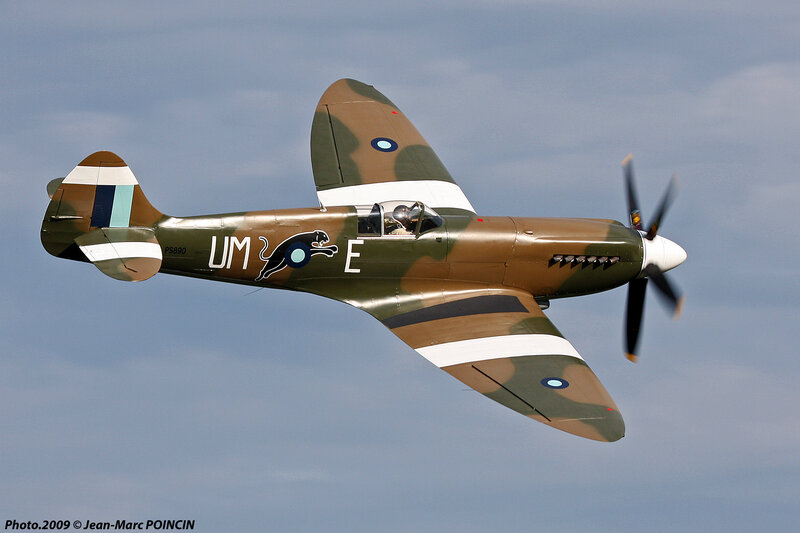 Camouflaged Fighter Plane — Green, Dynamic