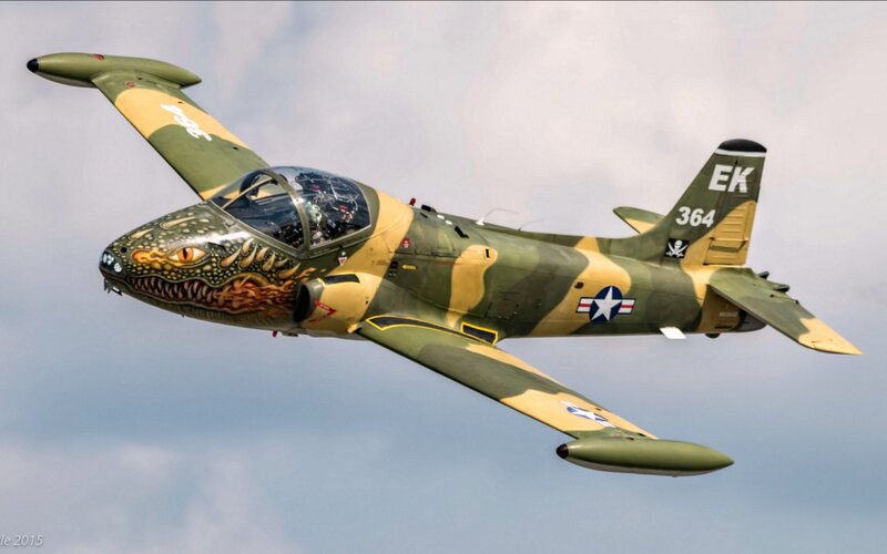 Camouflaged Jet Aircraft — Green, Dynamic