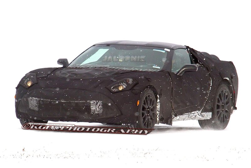 Camouflaged Sports Car — Black, Cold, Winter