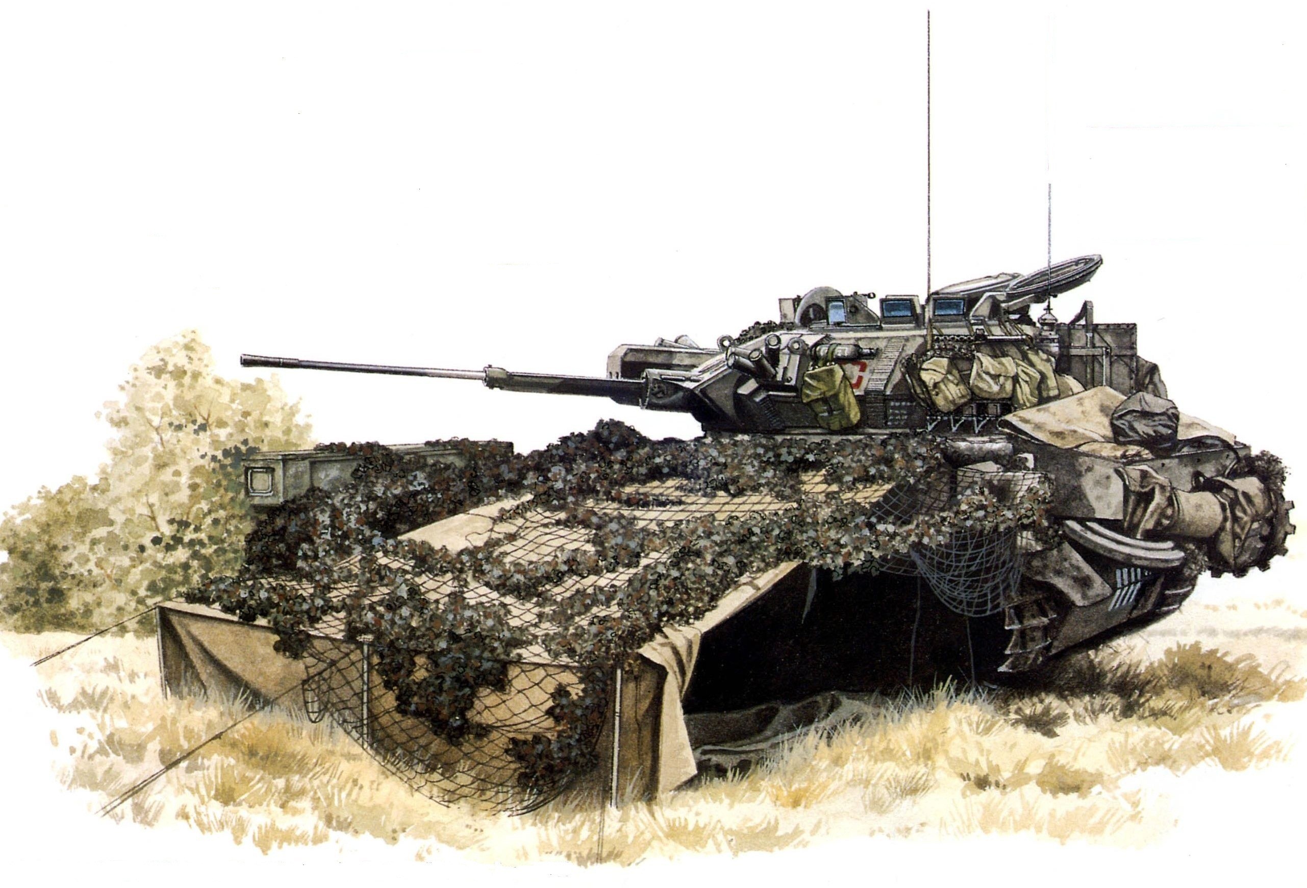 Camouflaged tank in field