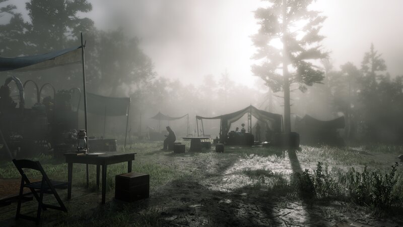 Camp in Foggy Forest