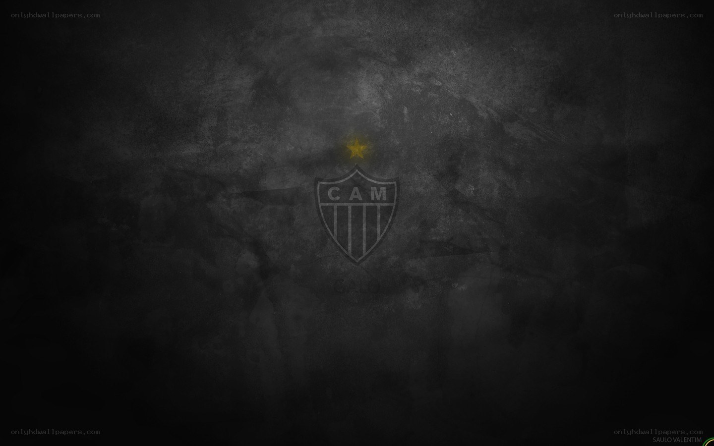Campeonato Brasileiro logo